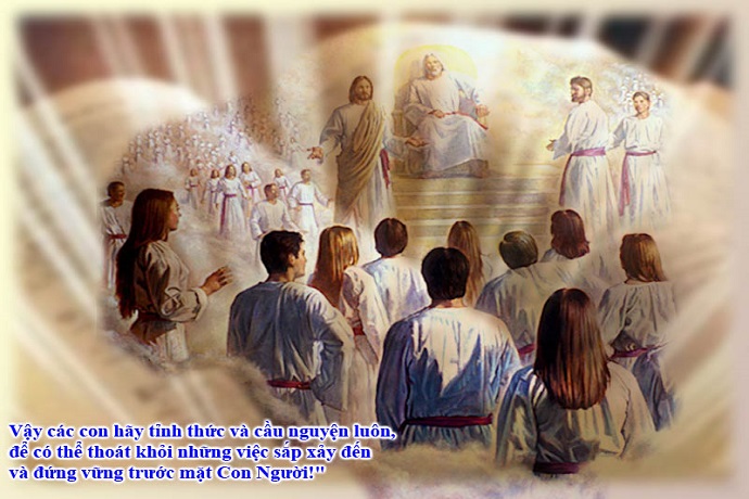 Lecturas de Misa del sábado, 29 de noviembre de 2025: Sábado de la XXXIV semana del Tiempo ordinario