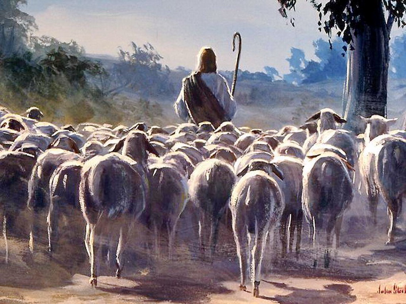 Lecturas de Misa del domingo, 11 de mayo de 2025: IV Domingo de Pascua