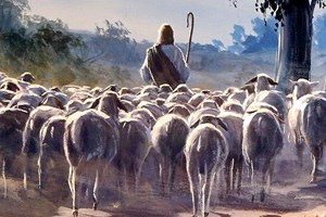 Lecturas de Misa del domingo, 11 de mayo de 2025: IV Domingo de Pascua