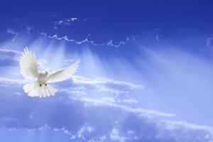 Lecturas de Misa del miércoles, 28 de mayo de 2025: Miércoles de la VI semana de Pascua