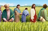 Lecturas de Misa del viernes, 18 de julio de 2025: Viernes de la XV semana del Tiempo ordinario