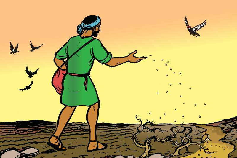 Lecturas de Misa del miércoles, 23 de julio de 2025: Miércoles de la XVI semana del Tiempo ordinario