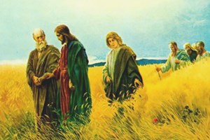 Lecturas de Misa del martes, 8 de julio de 2025: Martes de la XIV semana del Tiempo ordinario