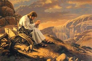 Lecturas de Misa del martes, 9 de septiembre de 2025: Memoria de san Pedro Claver, presbítero